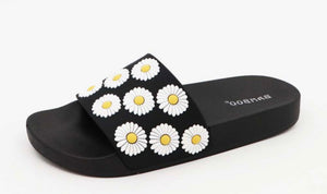 Daisy Slides